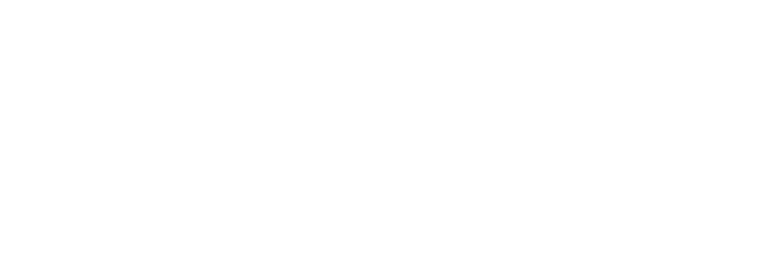 The Paris Times